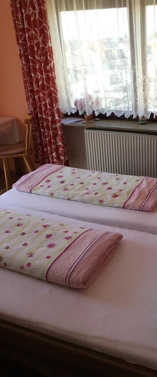 Gasthof Und Pension Mainzer Rad Schwetzingen Extérieur photo
